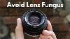 Diy Camera Dry Box For Only 20 Avoid Lens Fungus