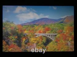 EXC+5 with Winder Canon A-1 Black 35mm Film Camera Body FD 50mm F1.4 Lens JAPAN