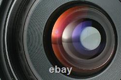 Exc+4 Fuji Fujifilm GSW690 III 6x9 Film Camera EBC SW 65mm f/5.6 Lens JAPAN
