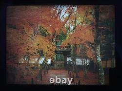 Exc+4 Pentax 645 Medium Format Film Camera 55mm F2.8 Lens 120 Back From JAPAN