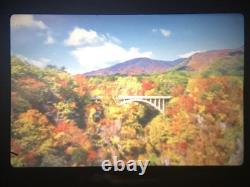 Free Ship Near MINT Olympus OM-2N Film Camera Zuiko 50mm f/1.8 Lens From JAPAN