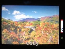 Late Model EXC+5 / Meter Works Canon F-1 Film Camera Body 50mm F1.8 Lens JAPAN