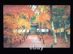 NEAR MINT Canon A-1 Black 35mm Film Camera Body New FD 50mm F1.4 Lens JAPAN