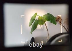 NEAR MINT Canon Model 7 Rangefinder 50mm F1.4 Lens 35mm Film Camera JAPAN