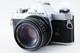 NEAR MINT Pentax MX 35mm SLR Film Camera + SMC M 50mm f/1.4 Lens From JAPAN