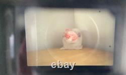 NEAR MINT with Box Nikon FM10 SLR Film Camera 35-70mm f3.5-4.8 Lens From JAPAN