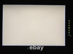 Near MINT+++ Canon EOS-3 EOS3 SLR Film Camera EF 50mm F1.8 II Lens From JAPAN