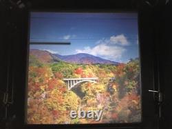 Near MINT Mamiya C33 Pro TLR 6x6 Film Camera Sekor 105mm f3.5 Lens From JAPAN