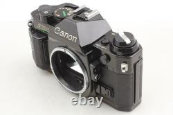 Read Exc+5 Canon AE-1 Program 35mm Film Camera NEW FD 50mm F1.4 Lens JAPAN