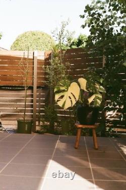 Sale! Canon P Populaire Film Camera 50mm F1.4 Lens JAPAN Very Good #116