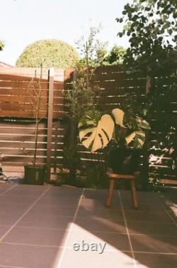 Sale! Canon P Populaire Film Camera 50mm F1.4 Lens JAPAN Very Good #116